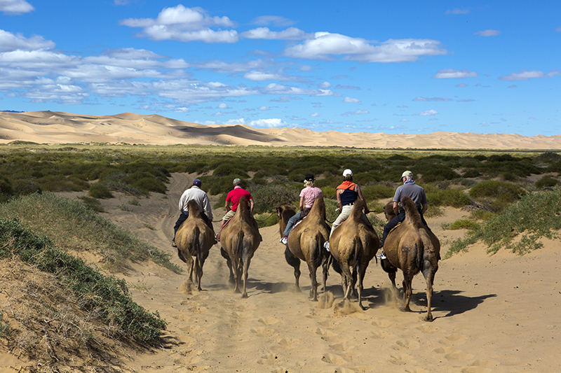 camel_riding_mongolia